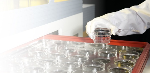 USHERING IN FULL-PROCESS AUTOMATED GRAVIMETRIC ANALYSIS DETECTION